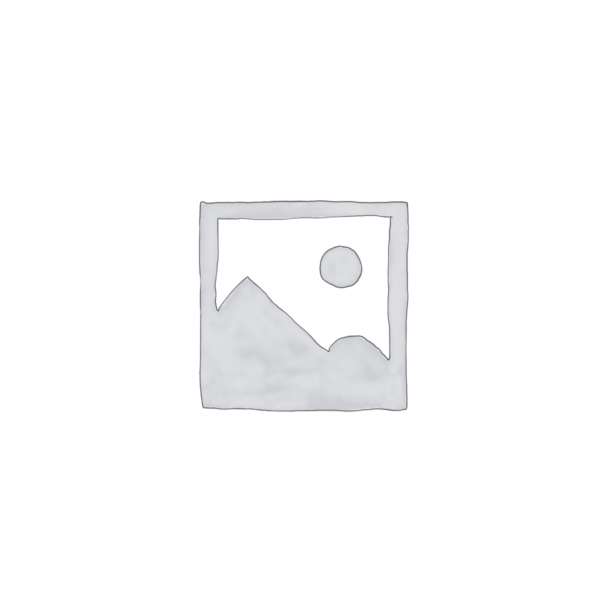 Teddy Bear – 2037
